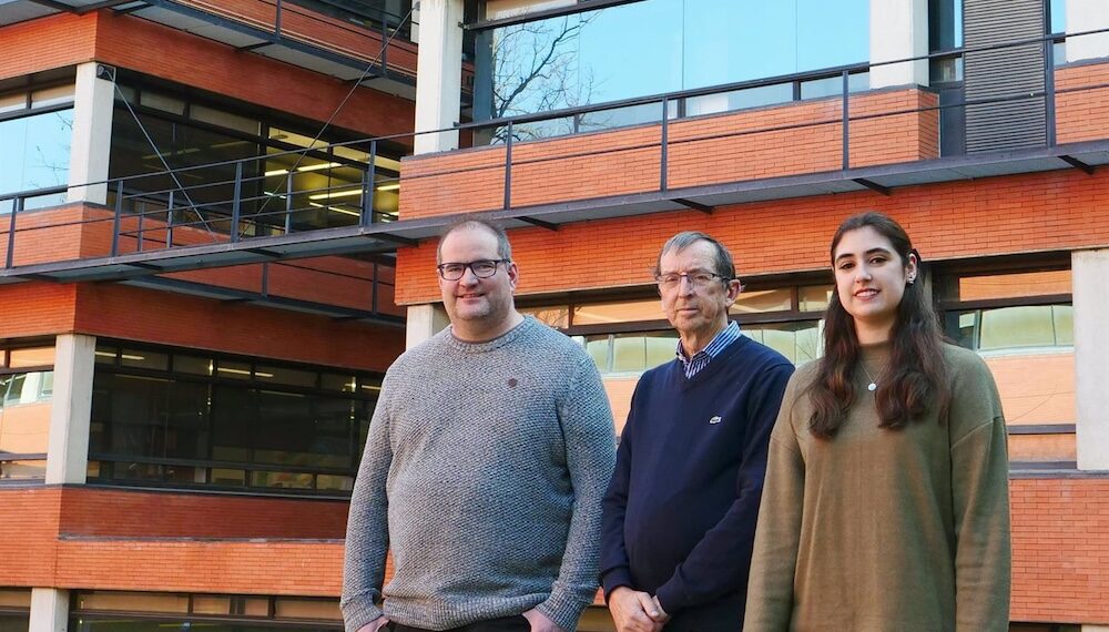 Descubren una importante ruta migratoria de neuronas jóvenes en el cerebro de recién nacidos