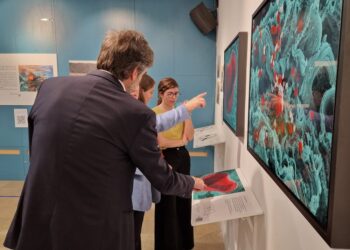 El Museo de Ciencias Naturales ofrece la exposición “El Ojo de la Ballena”