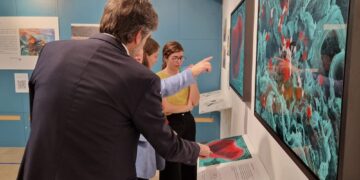 El Museo de Ciencias Naturales ofrece la exposición “El Ojo de la Ballena”