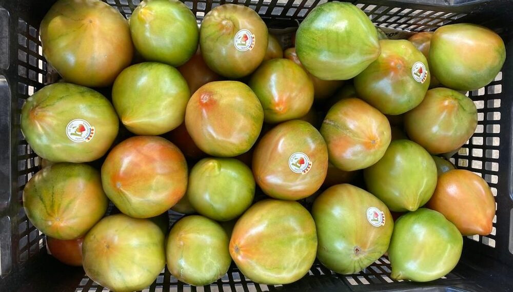 La Tomata Valenciana consigue la marca de Calidad CV