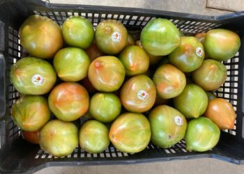 La Tomata Valenciana consigue la marca de Calidad CV