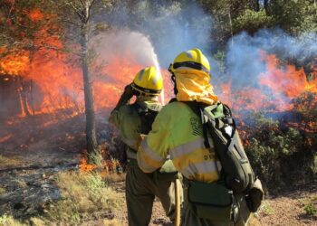 «Stop al Foc», la nueva campaña de prevención de incendios forestales
