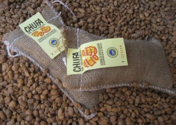 Cinco municipios valencianos se suman a la DO de la Chufa