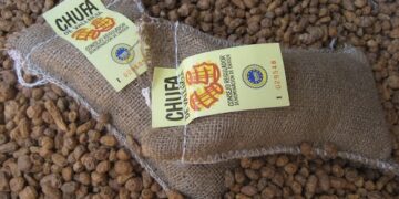 Cinco municipios valencianos se suman a la DO de la Chufa