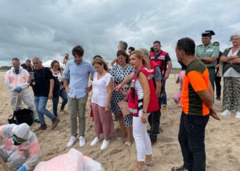 Las playas de l’Arbre del Gos, el Saler y la Garrofera permanecen cerradas por un vertido de combustible