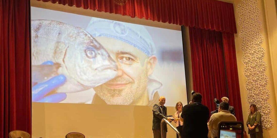 València destaca el Comercio Interior como «pilar fundamental» con los Premios Nacionales 2023