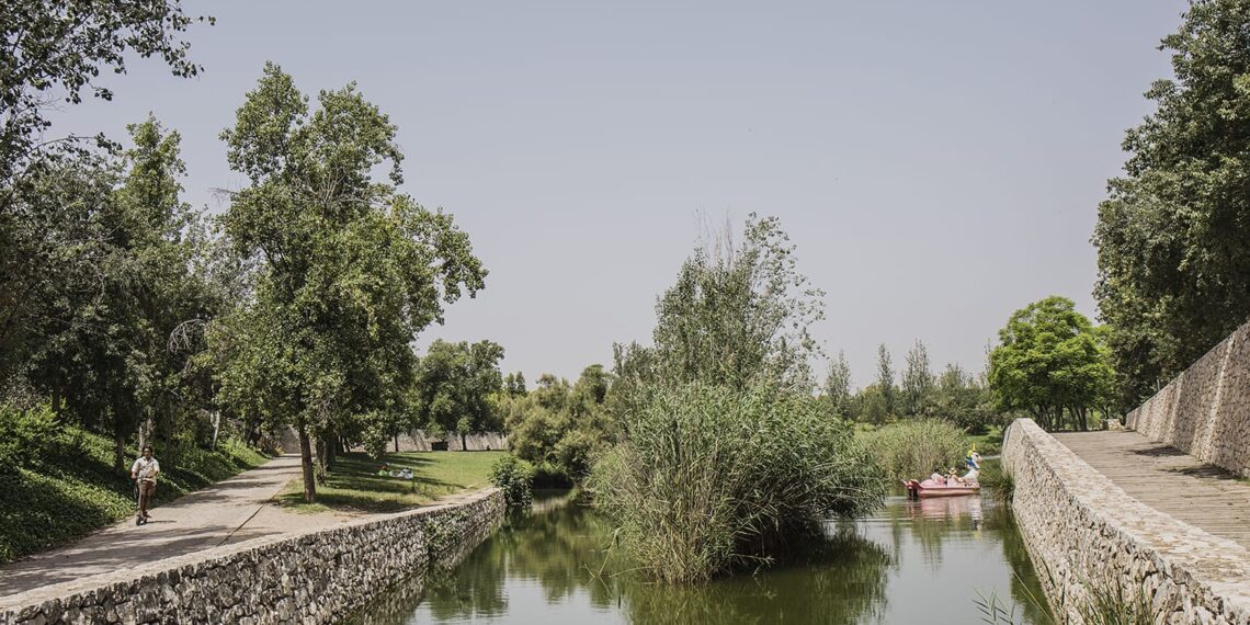 València alcanza 8,6 metros cuadrados de zonas verdes por habitante