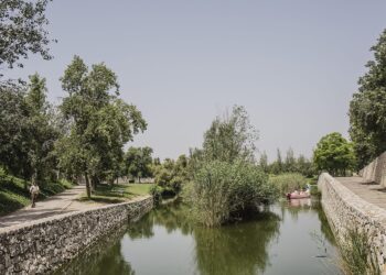 València alcanza 8,6 metros cuadrados de zonas verdes por habitante