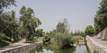 València alcanza 8,6 metros cuadrados de zonas verdes por habitante