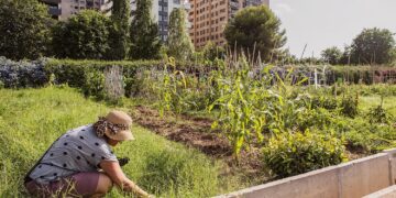 València impulsa la renaturalización urbana con la plantación de 2.000 árboles