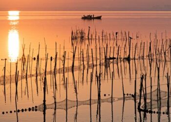 L’Albufera, más cerca de ser declarada Reserva de la Biosfera