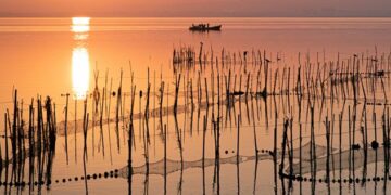 L’Albufera, más cerca de ser declarada Reserva de la Biosfera