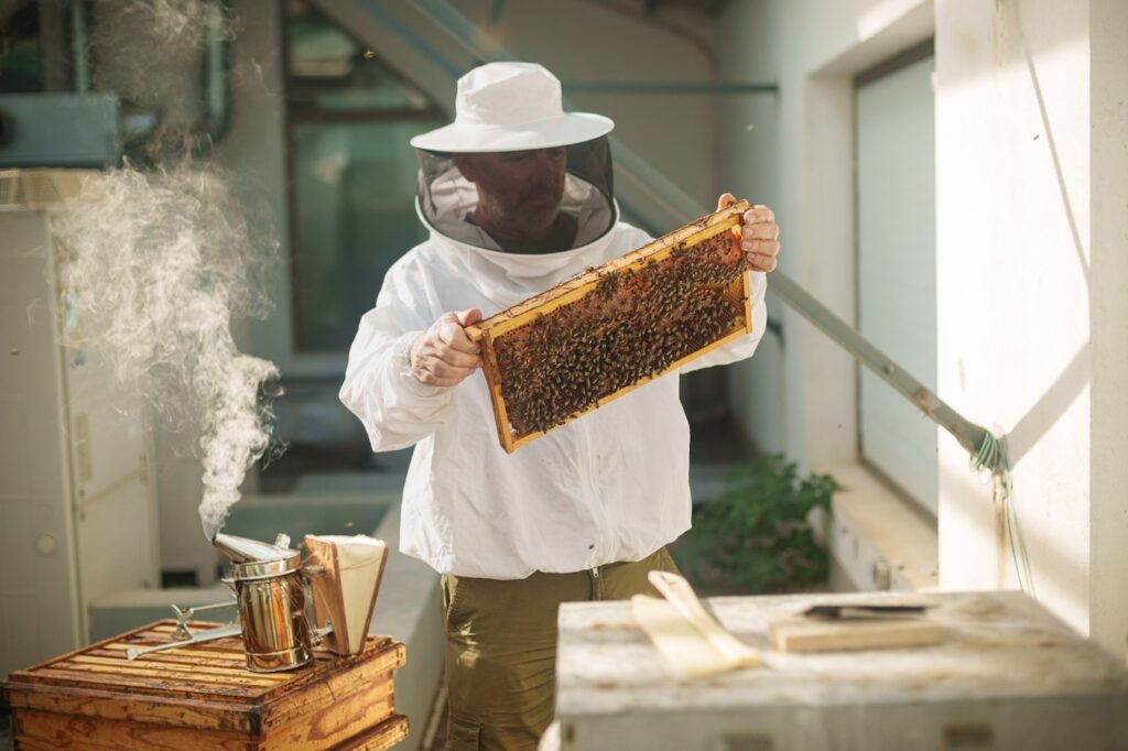Proyecto piloto AbellaTech panal abejas