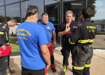 Operativo de búsqueda en la Reva: bomberos y perros rastrean el polígono