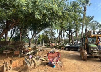 Sagunto reanuda la recogida de productos para apoyar a los afectados por la DANA