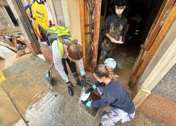 DANA Valencia 2024: plataforma para coordinar voluntarios