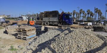 Valencia finaliza la renovación de la avenida de la Malva-rosa con una inversión de 5,2 millones de euros