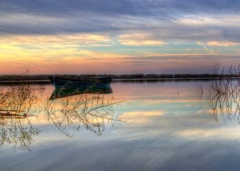 València pone en valor la candidatura de l’Albufera como reserva de la biosfera de la Unesco en Fitur