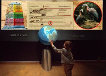 El Museo de Ciencias Naturales de València permanecerá cerrado durante 3 meses