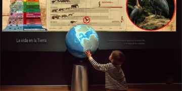 El Museo de Ciencias Naturales de València permanecerá cerrado durante 3 meses