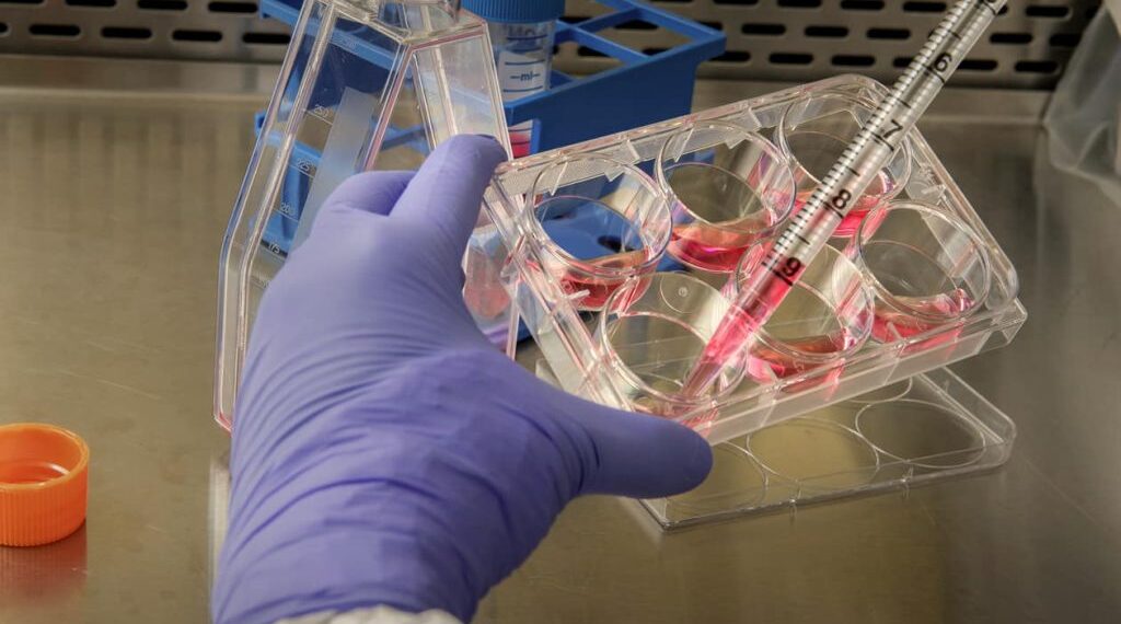 Valencia publica el calendario de admisión y matrícula de Formación Profesional para el curso 2025-2026