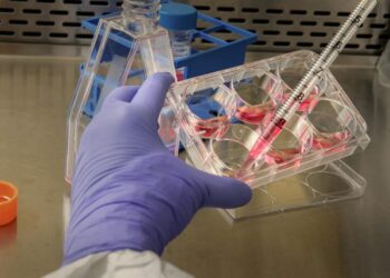 Valencia publica el calendario de admisión y matrícula de Formación Profesional para el curso 2025-2026