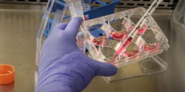 Valencia publica el calendario de admisión y matrícula de Formación Profesional para el curso 2025-2026