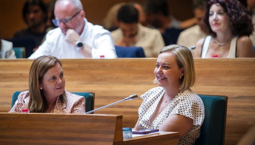 La Diputación reclama bajar la barrera electoral del 5% al 3%