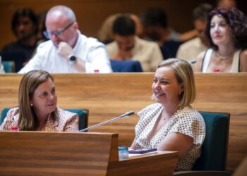 La Diputación reclama bajar la barrera electoral del 5% al 3%