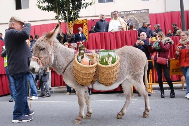 sant antoni abad valencia 2026