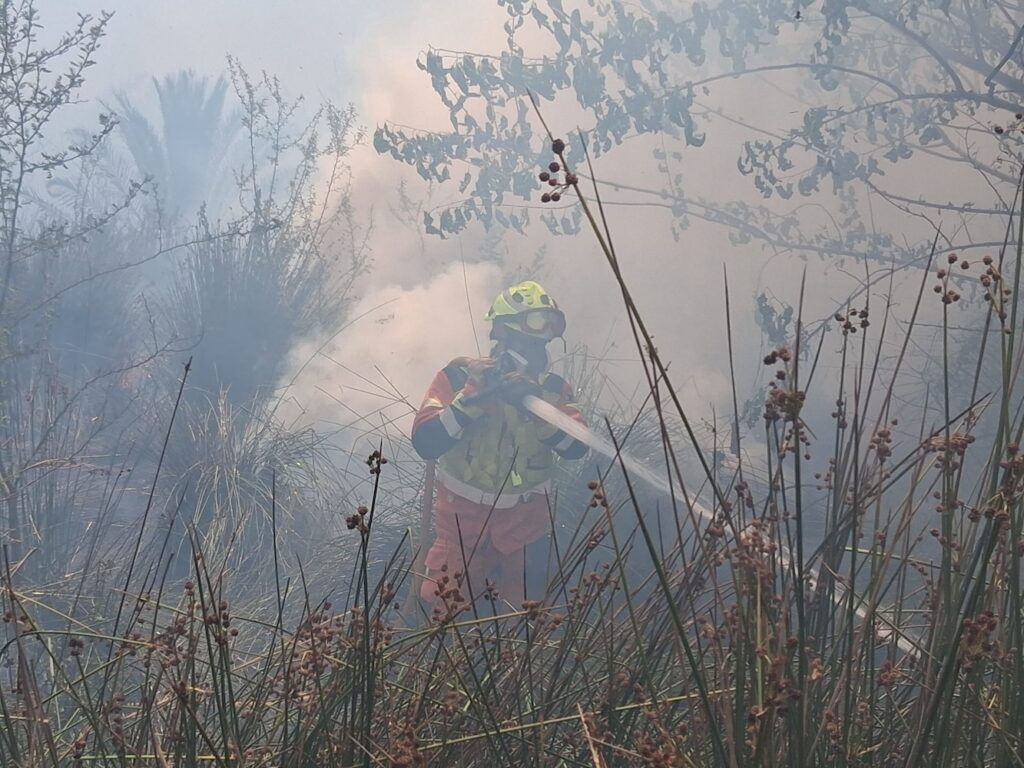 bomberos valencia