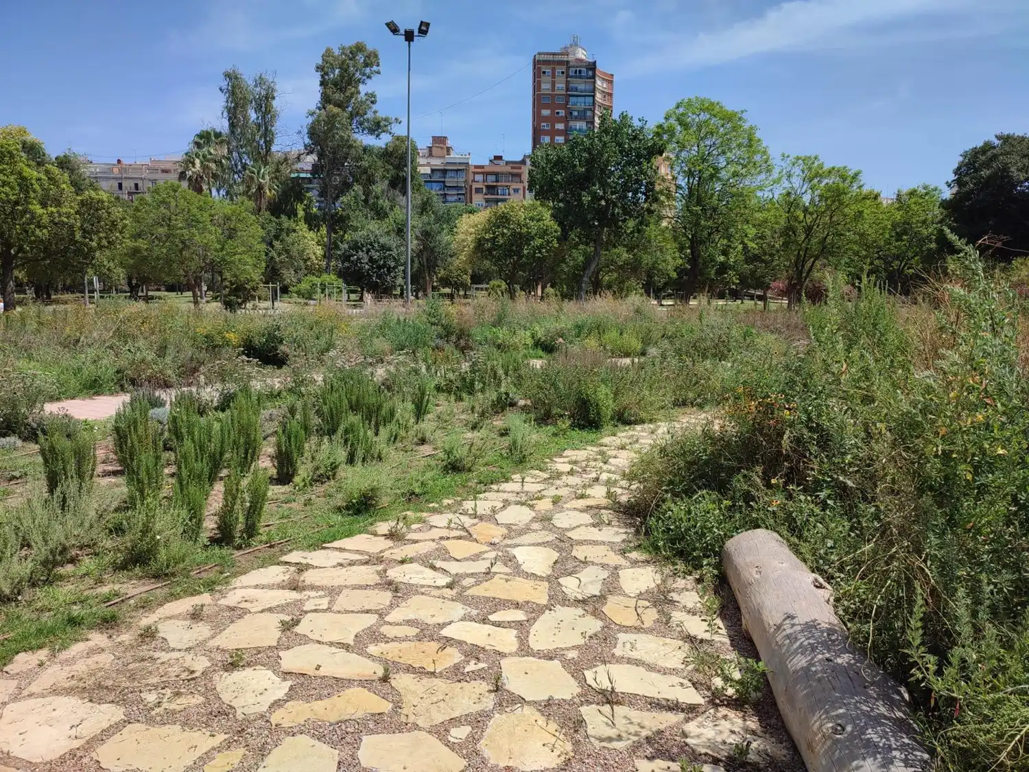 Vista del nuevo Jardín de Polinizadores en Valencia